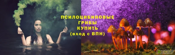 спиды Алексин
