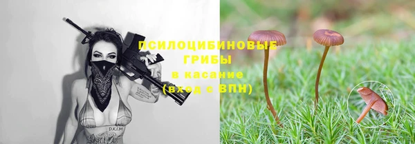 тгк Мегион