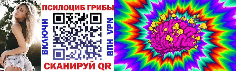 где купить   Химки  Псилоцибиновые грибы мицелий 